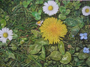 prato con fiori di primavera 40x60 olio su tela maggio 2005