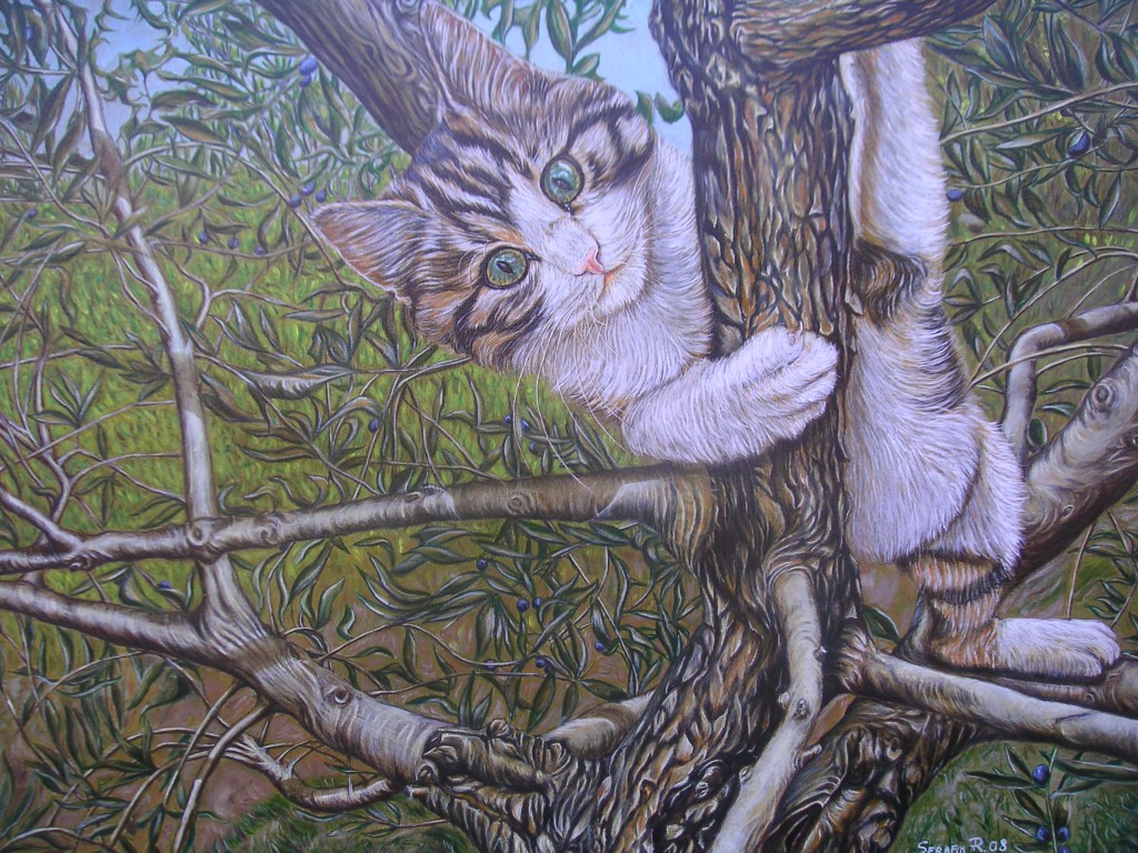 gatto sull albero 80x60 olio su  tela