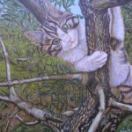 gatto sull albero 80x60 olio su  tela